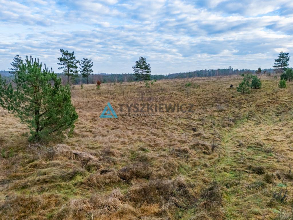 Działki nad jeziorem Głębokim - zdjęcie 24