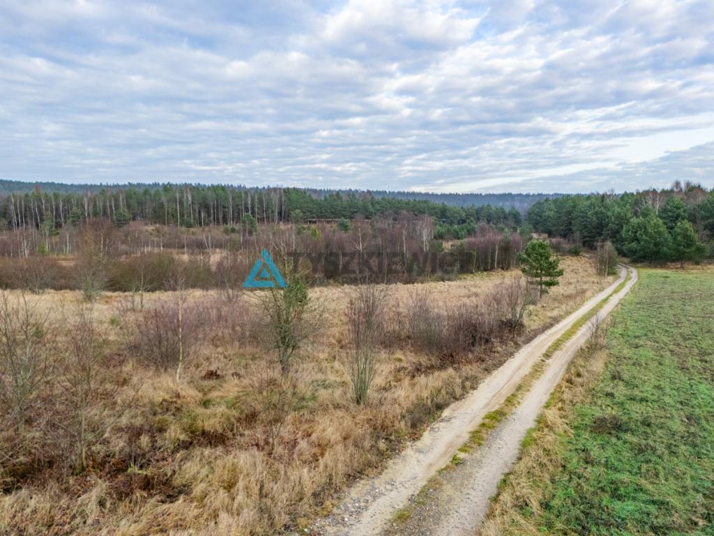 Działki nad jeziorem Głębokim - zdjęcie 29