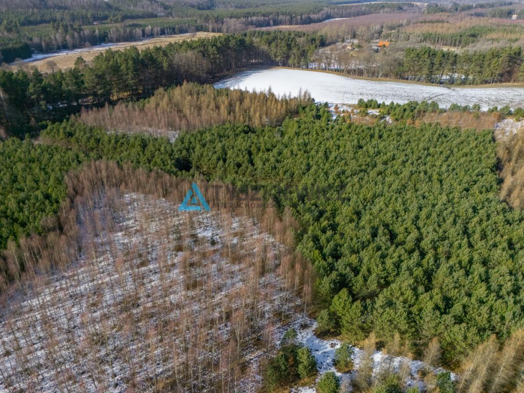Działka zalesiona w Chociminie - zdjęcie 20