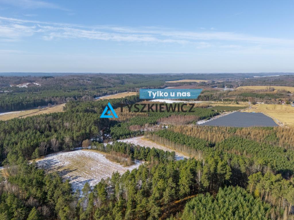 Działka zalesiona w Chociminie - zdjęcie 1