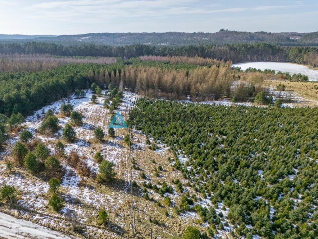 Działka zalesiona w Chociminie - zdjęcie 22