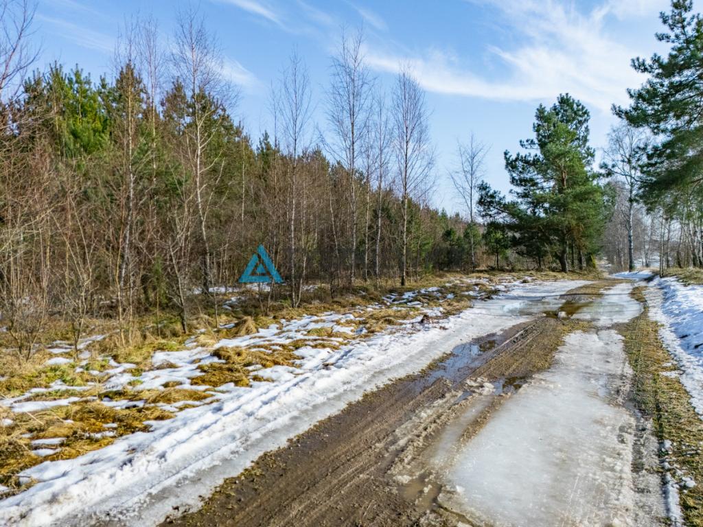 Twój prywatny las w sercu natury - Kazimierz, - zdjęcie 9