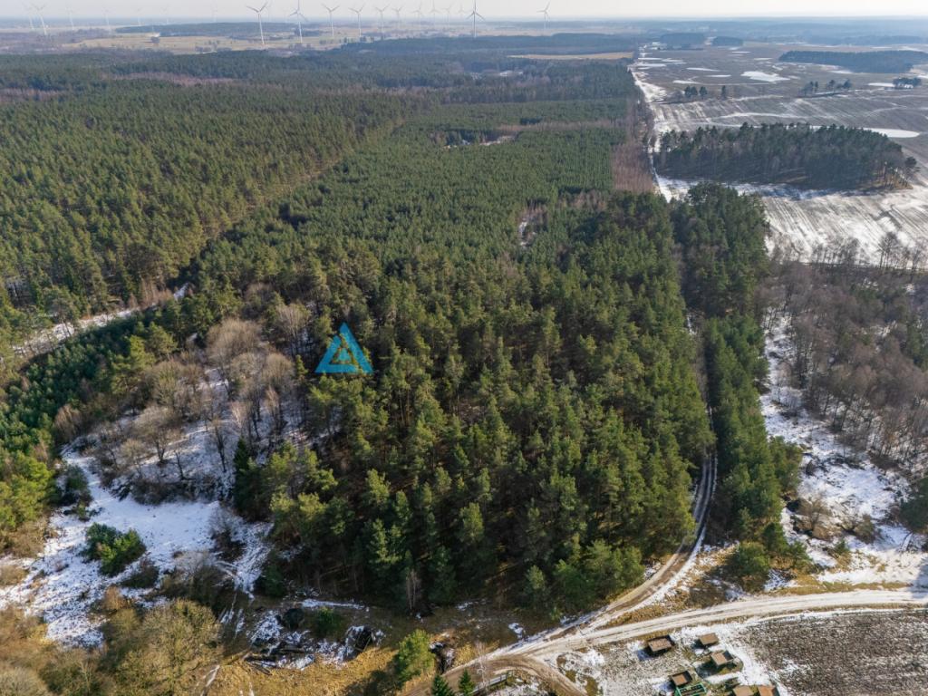 Twój prywatny las w sercu natury - Kazimierz, - zdjęcie 17