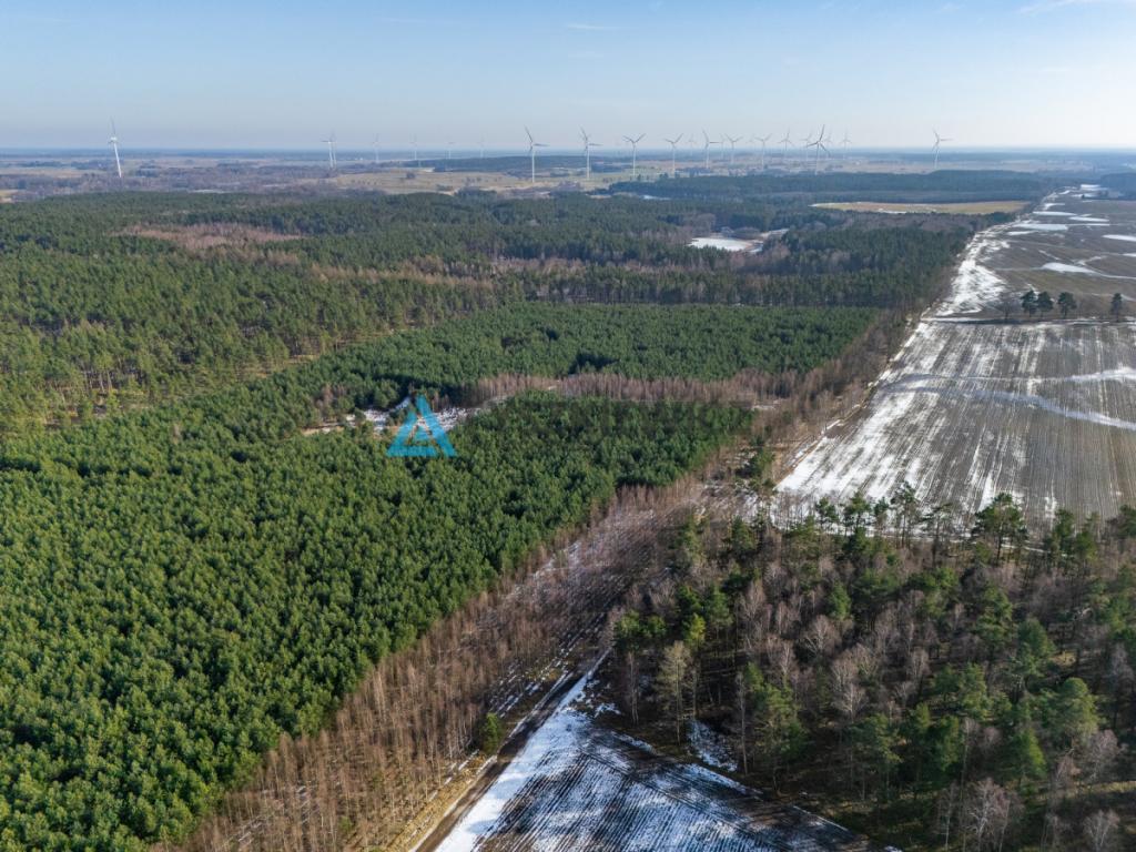 Twój prywatny las w sercu natury - Kazimierz, - zdjęcie 7