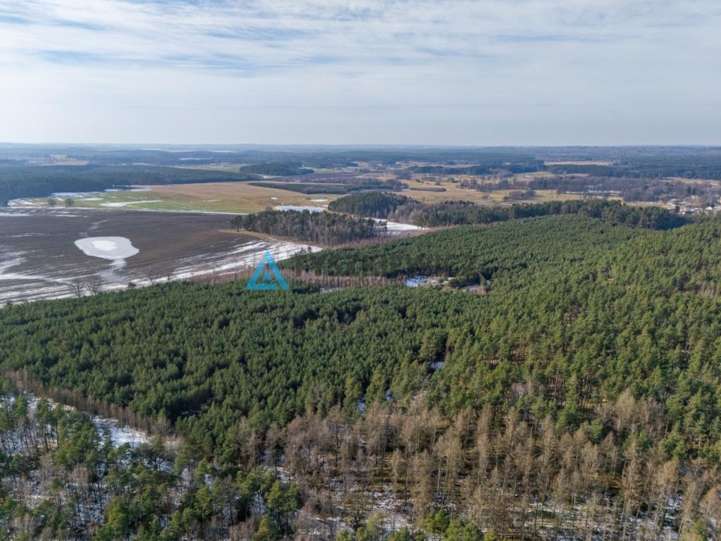 Twój prywatny las w sercu natury - Kazimierz, - zdjęcie 11