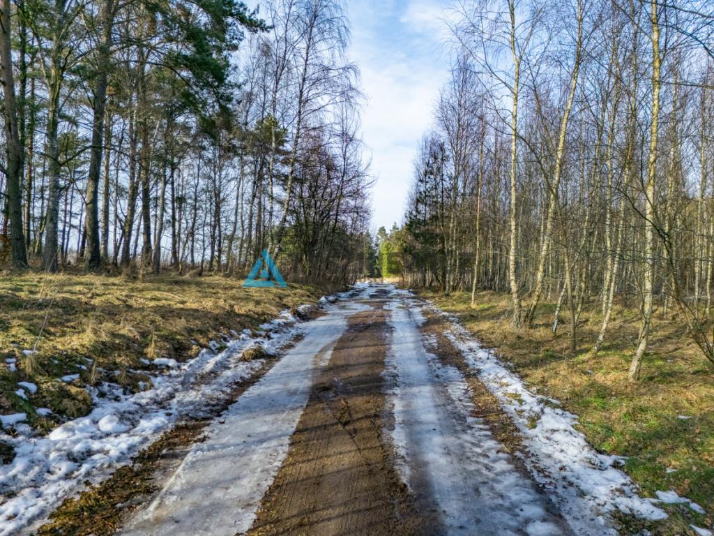Twój prywatny las w sercu natury - Kazimierz, - zdjęcie 29