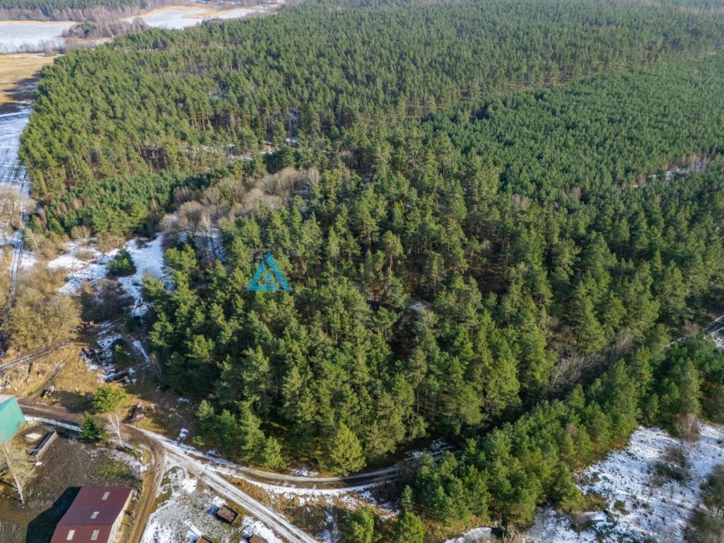 Twój prywatny las w sercu natury - Kazimierz, - zdjęcie 20