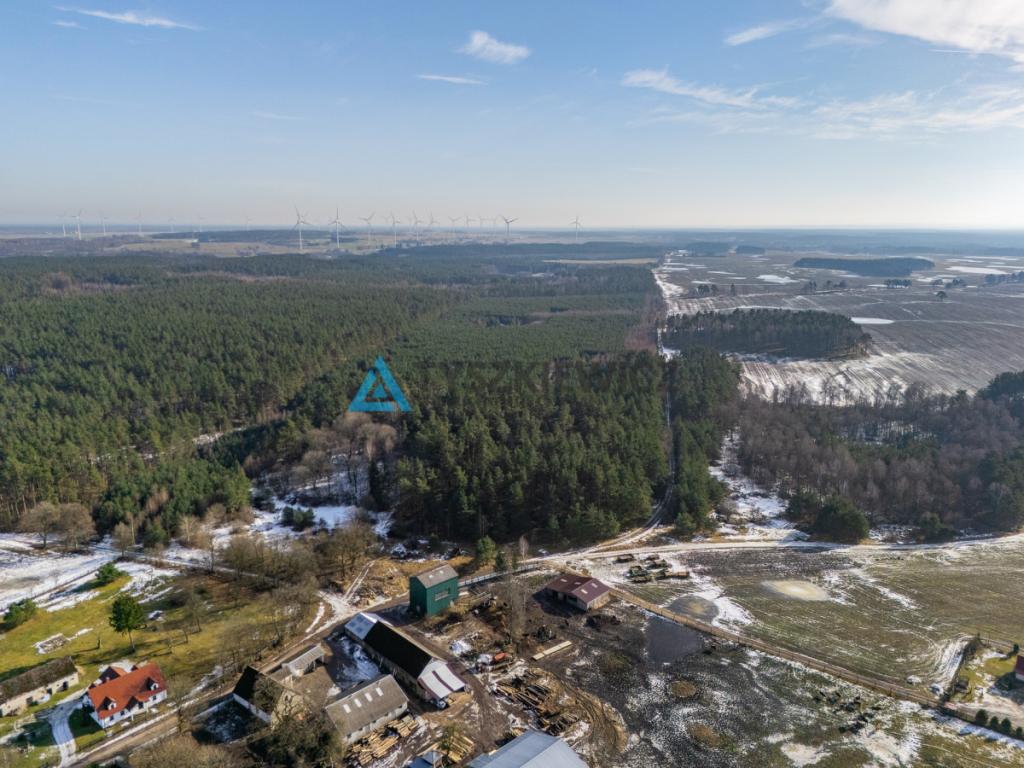 Twój prywatny las w sercu natury - Kazimierz, - zdjęcie 18