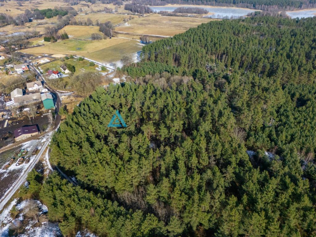 Twój prywatny las w sercu natury - Kazimierz, - zdjęcie 21