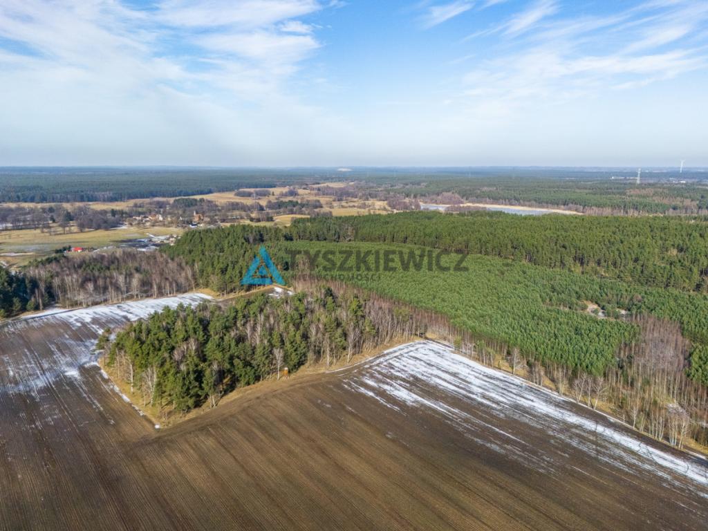Twój prywatny las w sercu natury - Kazimierz, - zdjęcie 2