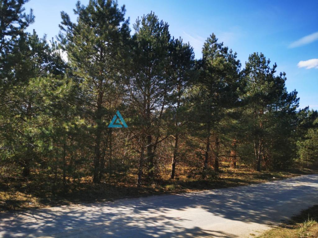 Doskonała okazja,urokliwa działka w Nowej Kiszewie - zdjęcie 28