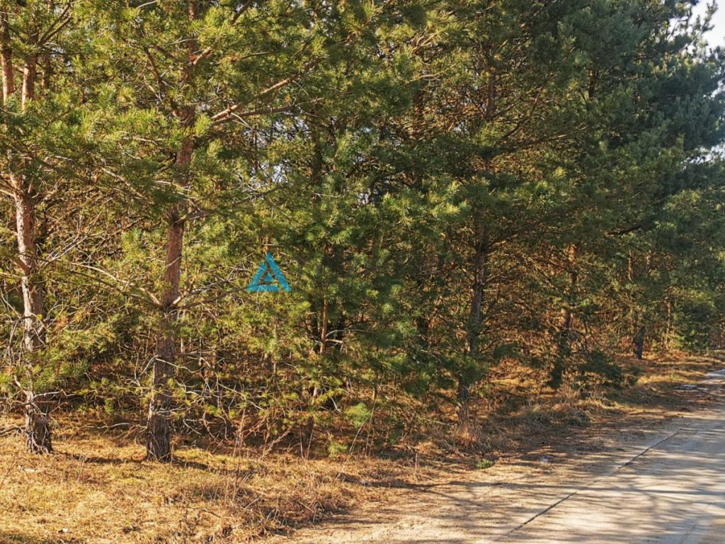 Unikalna działka budowlana w otoczeniu natury! - zdjęcie 27