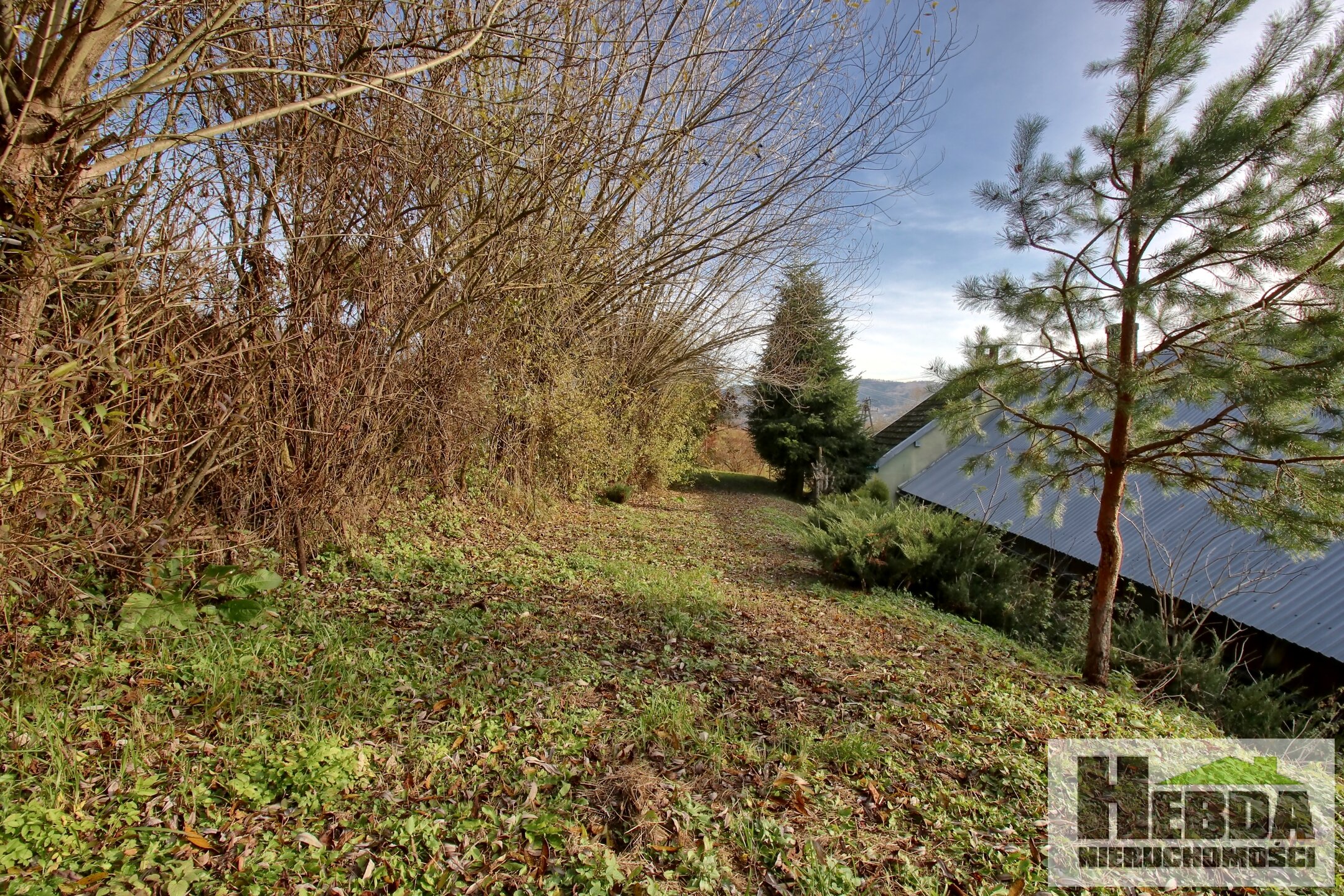 Na sprzedaż drewniany dom na działce 33 ary, Siedliska koło Tuchowa !!! - zdjęcie 9