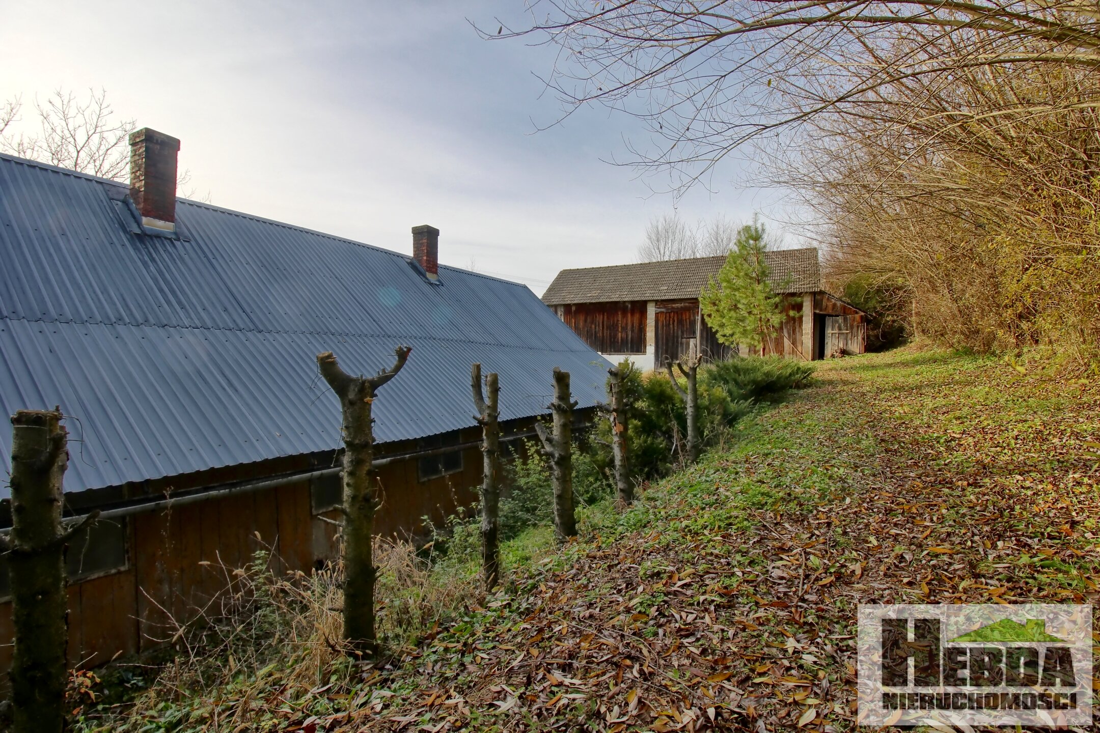 Na sprzedaż drewniany dom na działce 33 ary, Siedliska koło Tuchowa !!! - zdjęcie 3