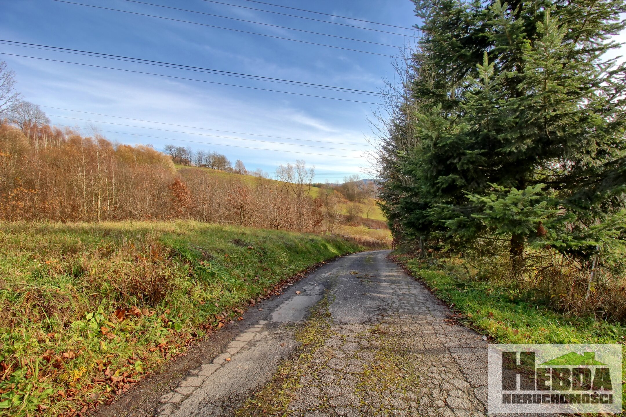 Na sprzedaż drewniany dom na działce 33 ary, Siedliska koło Tuchowa !!! - zdjęcie 20