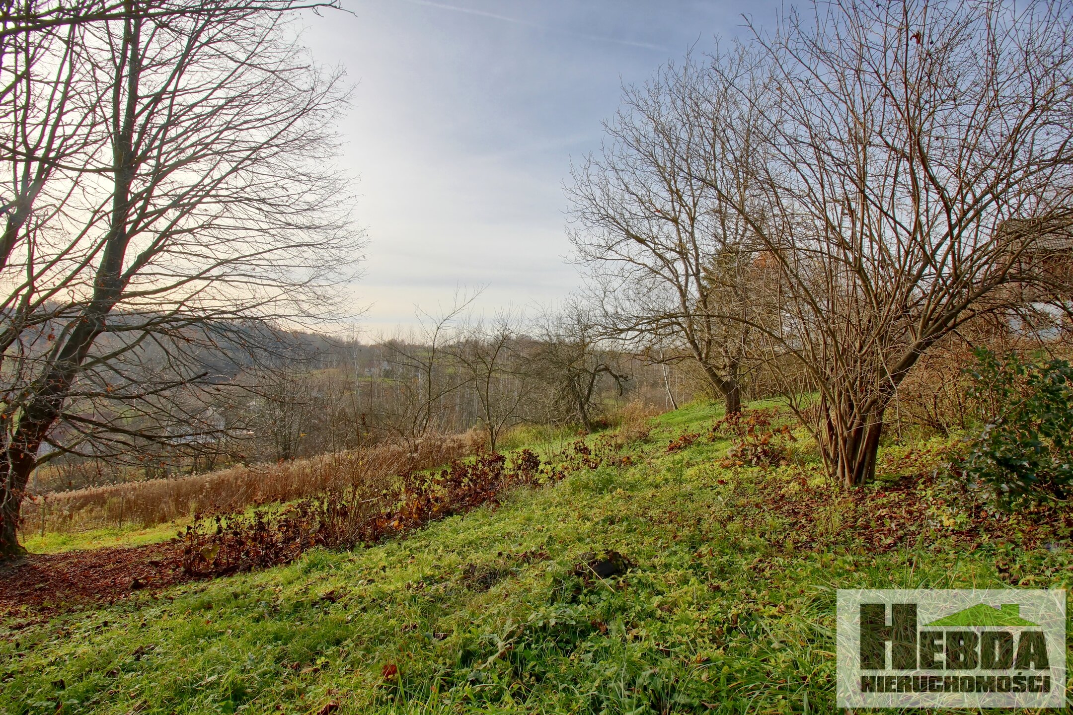 Na sprzedaż drewniany dom na działce 33 ary, Siedliska koło Tuchowa !!! - zdjęcie 12