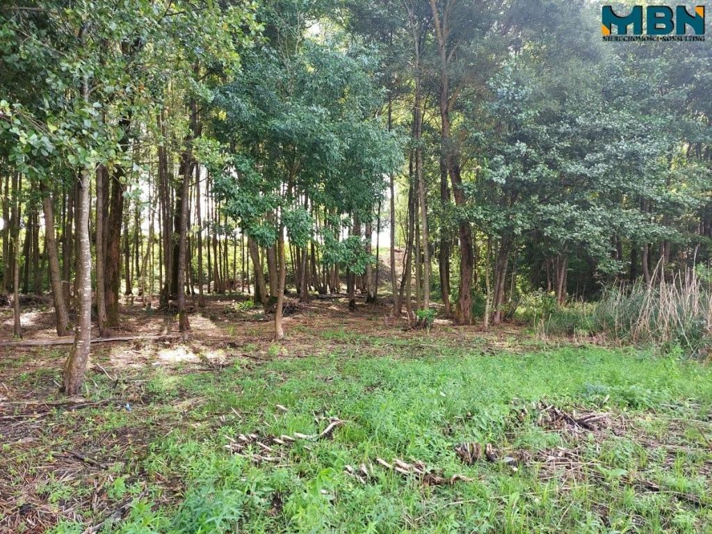 Działka budowlana 1138 m², Sołtmany - zdjęcie 8