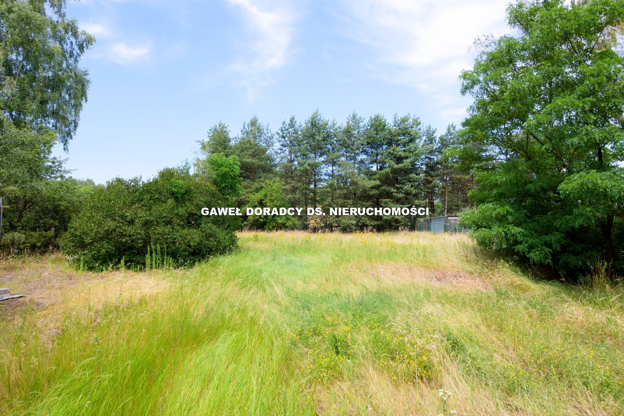 Działka zabudowana w gminie Konstancin Jeziorna. - zdjęcie 3