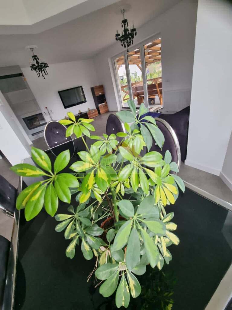 Dom 170&nbsp;m², Skrzeszew, Cyprysowa - zdjęcie 10