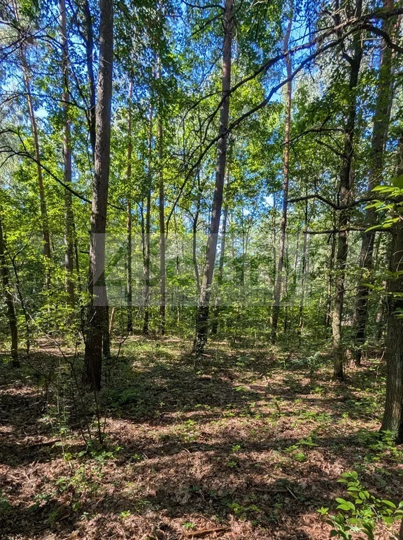 Działka budowlana 3500 m², Władysławów - zdjęcie 1