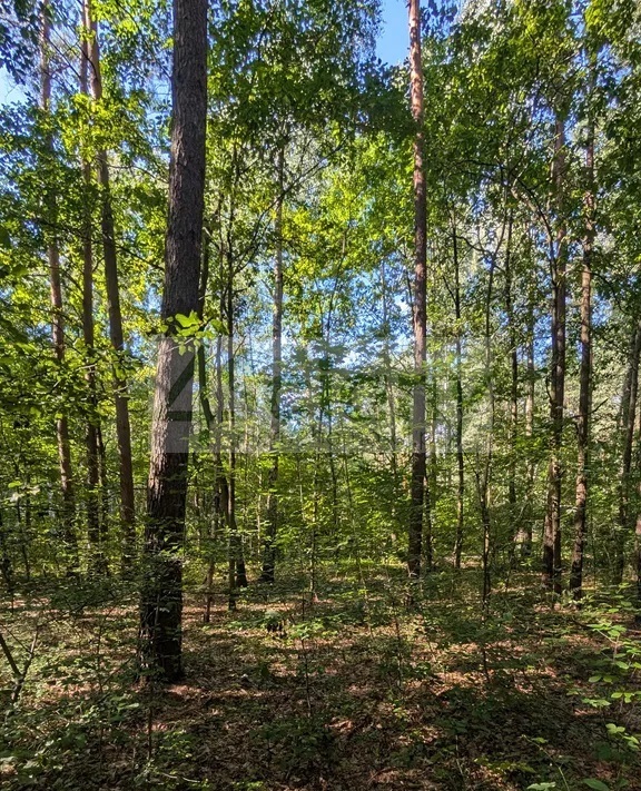 Działka budowlana 3500 m², Władysławów - zdjęcie 2