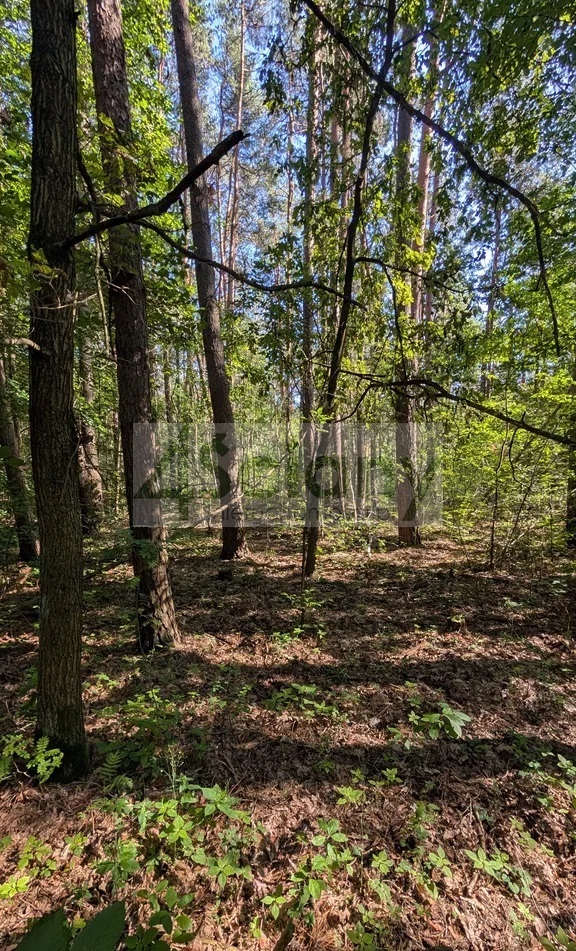 Działka budowlana 3500 m², Władysławów - zdjęcie 3