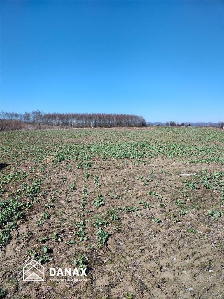 Działka budowlana 2,04 ha, Kryspinów - zdjęcie 1