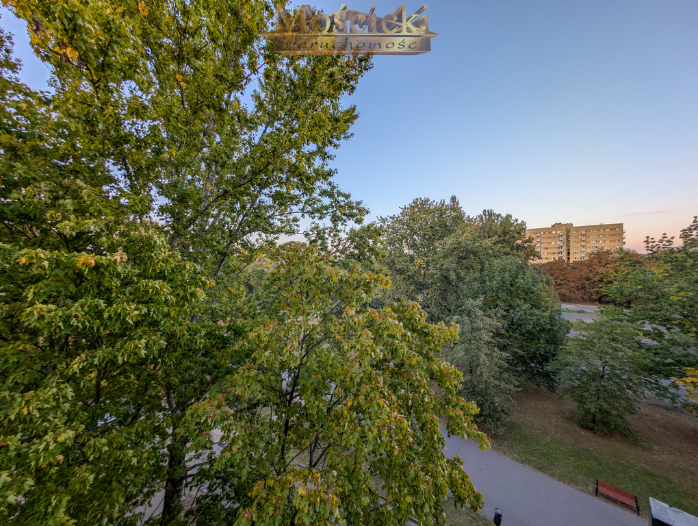 Mokotów wynajmę 2 pok ciche po gruntownym remoncie - zdjęcie 19