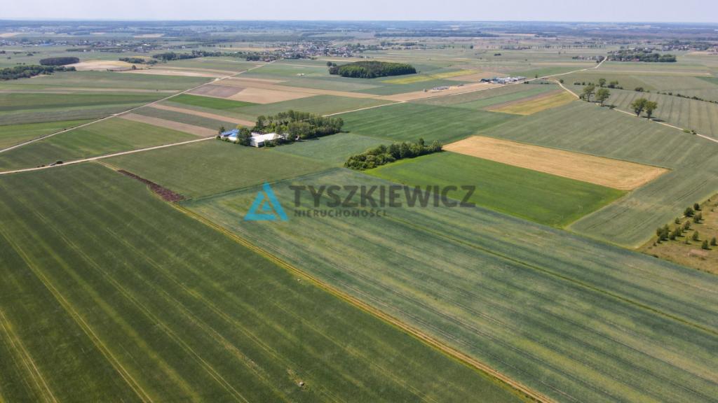 Działka inwestycyjna w Chłapowie - zdjęcie 3
