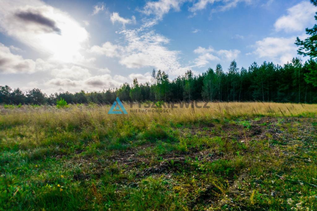 Działka nad jeziorem z MPZP - zdjęcie 8