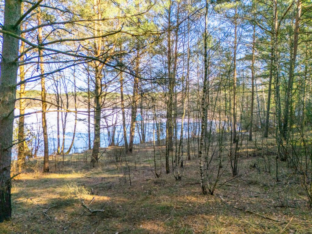 Wyjątkowa działka nad jeziorem Przywłóczno. - zdjęcie 8