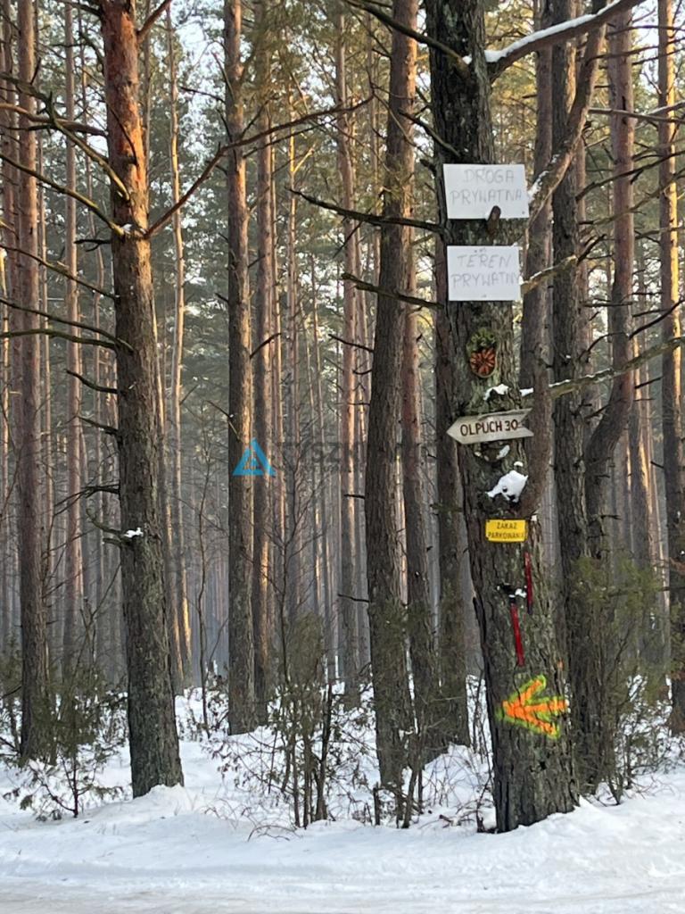 Wyjątkowa działka nad jeziorem Przywłóczno. - zdjęcie 17