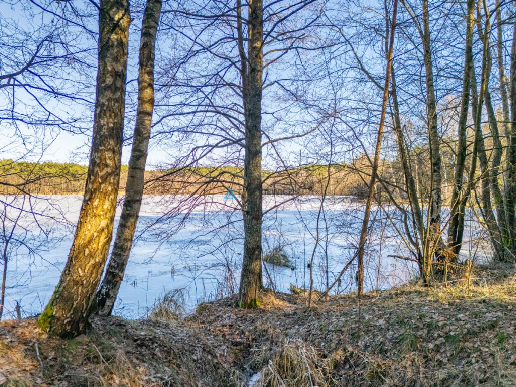 Wyjątkowa działka nad jeziorem Przywłóczno. - zdjęcie 10