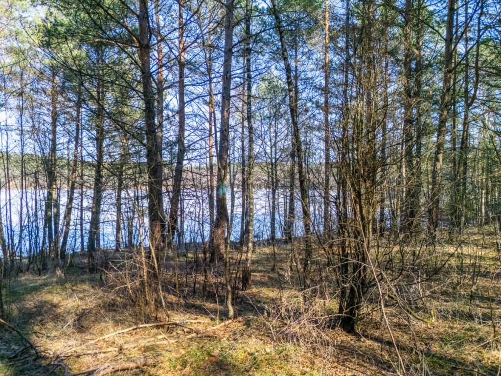 Wyjątkowa działka nad jeziorem Przywłóczno. - zdjęcie 11