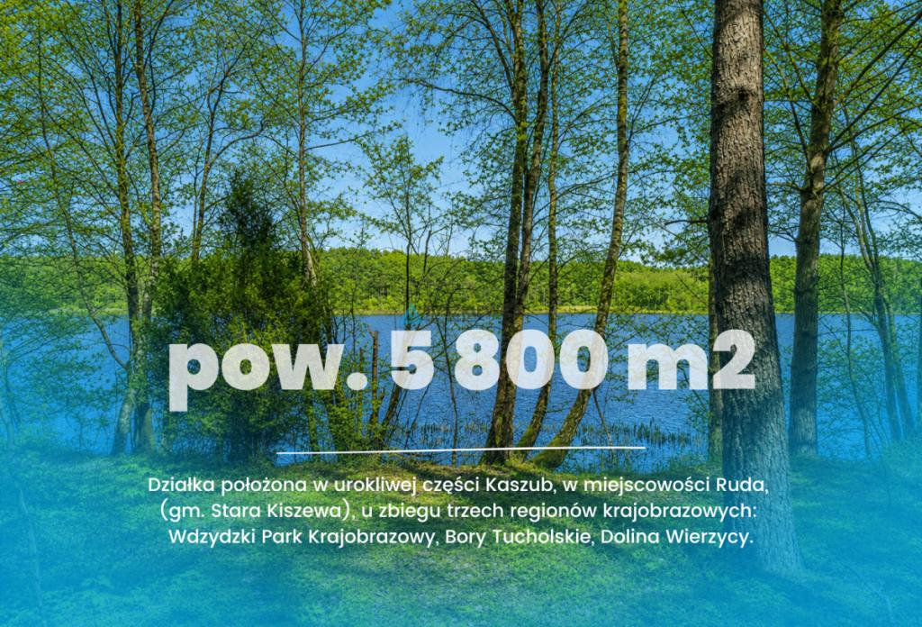 Wyjątkowa działka nad jeziorem Przywłóczno. - zdjęcie 5