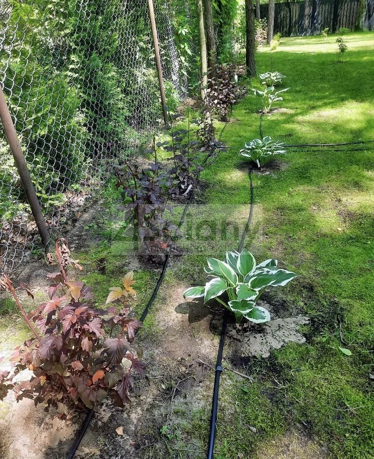 Działka budowlana 1430 m², Władysławów - zdjęcie 4