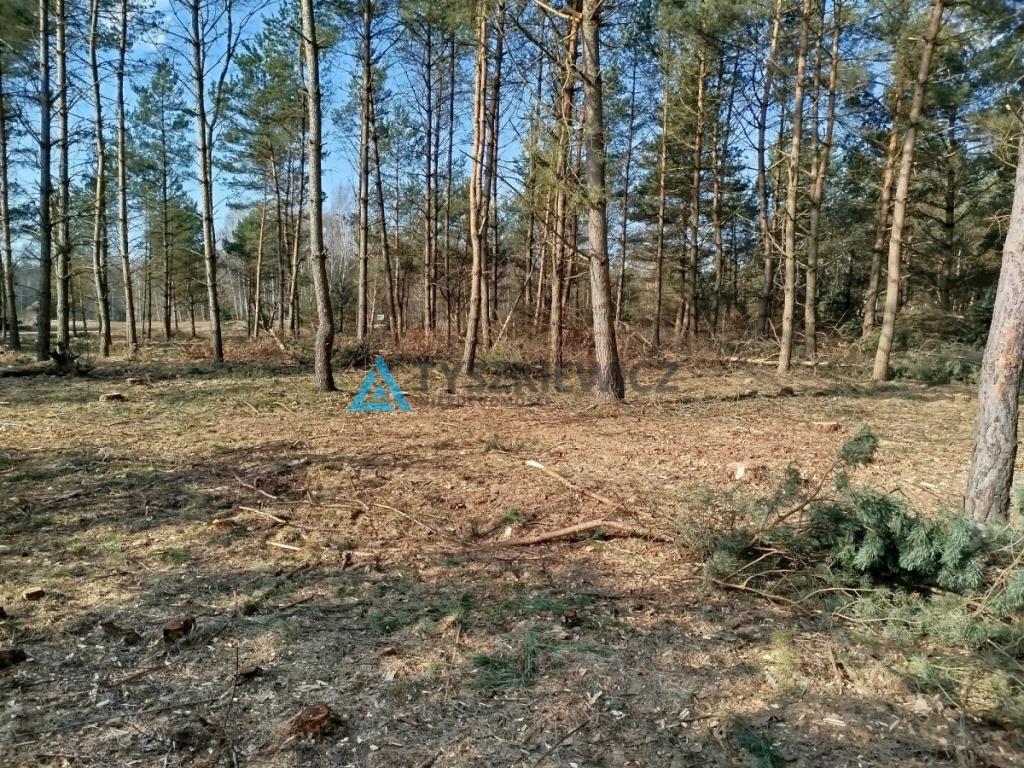 Działka budowlana w sercu lasu z MPZP - zdjęcie 11