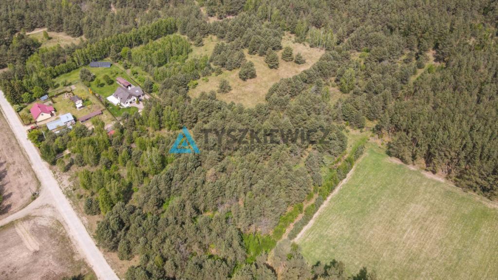 Działka budowlana w sercu lasu z MPZP - zdjęcie 19