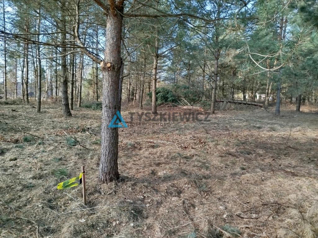 Działka budowlana w sercu lasu z MPZP - zdjęcie 5