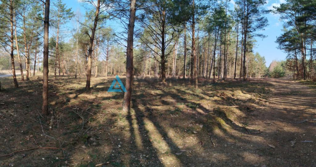Działka budowlana w sercu lasu z MPZP - zdjęcie 13