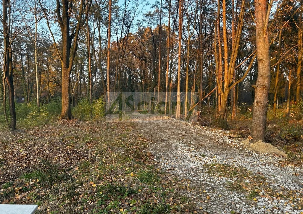 Działka budowlana 1100 m², Podkowa Leśna - zdjęcie 2