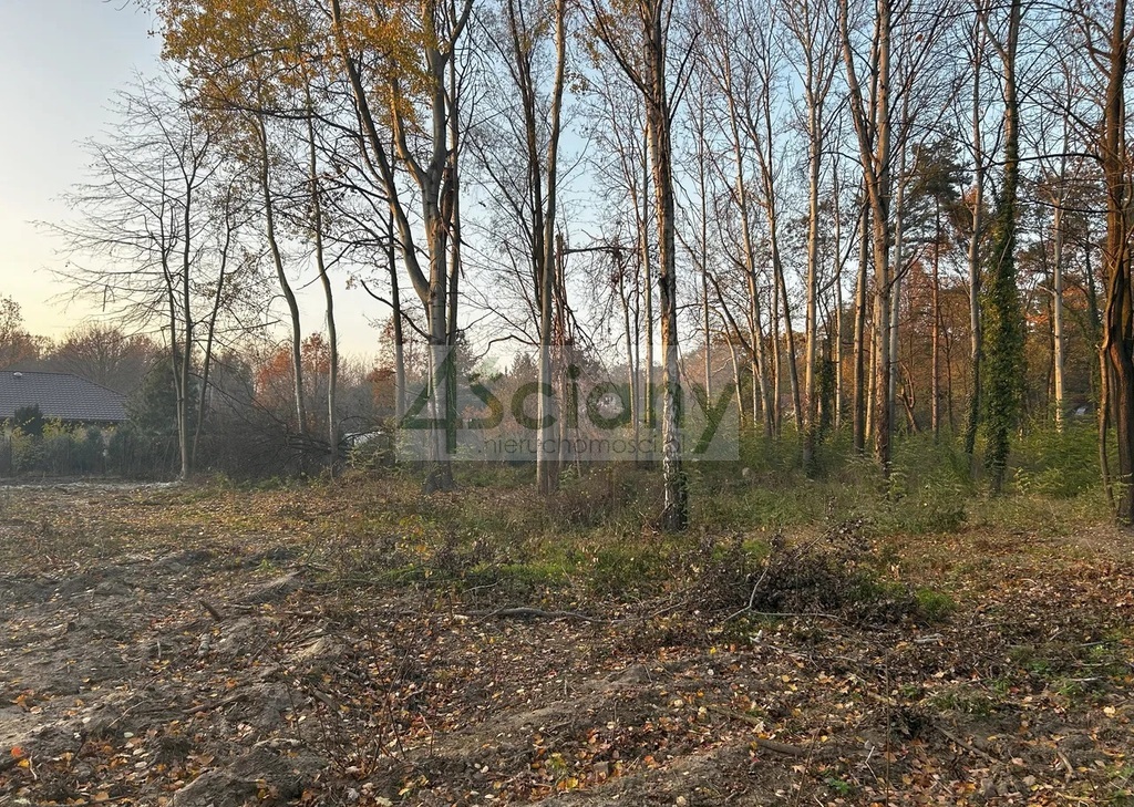 Działka budowlana 1100 m², Podkowa Leśna - zdjęcie 1
