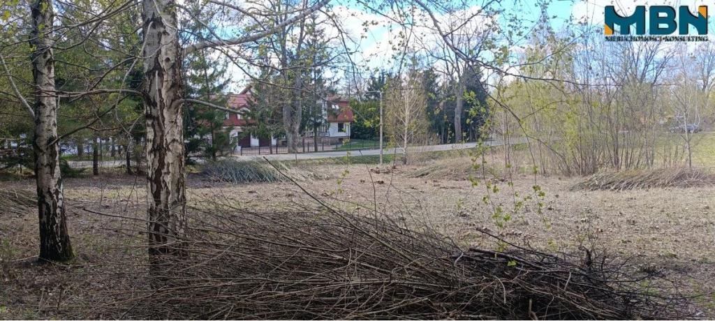 Działka budowlana 1999&nbsp;m², Sajzy - zdjęcie 10