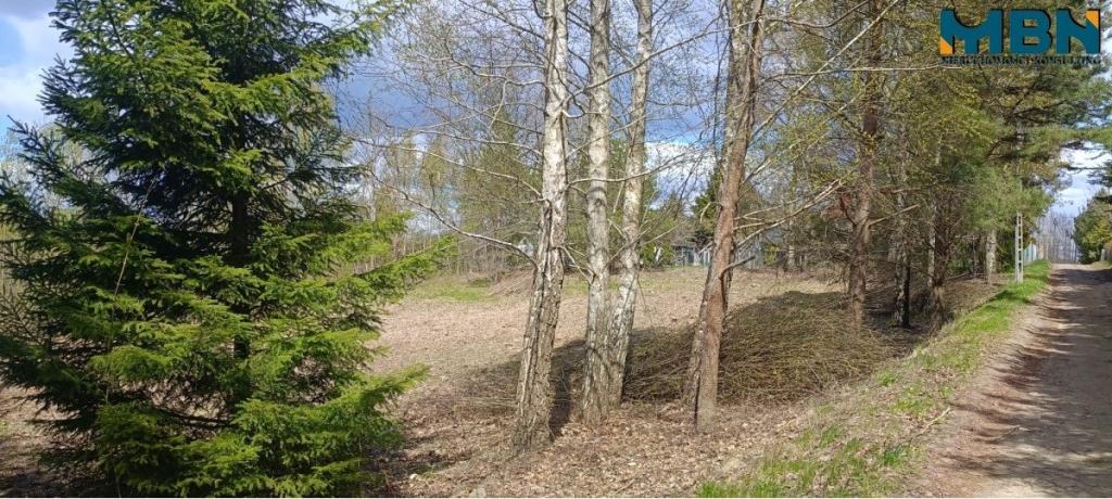 Działka budowlana 1999&nbsp;m², Sajzy - zdjęcie 5