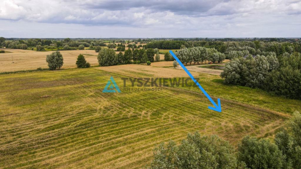 Duża działka z WZ blisko Ostaszewa - Piaskowiec - zdjęcie 5
