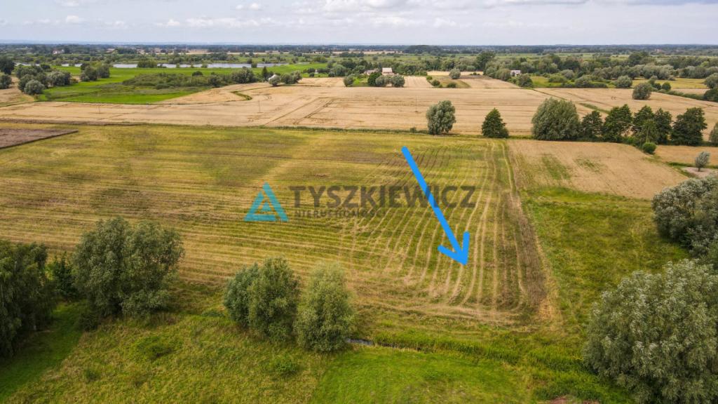 Duża działka z WZ blisko Ostaszewa - Piaskowiec - zdjęcie 17