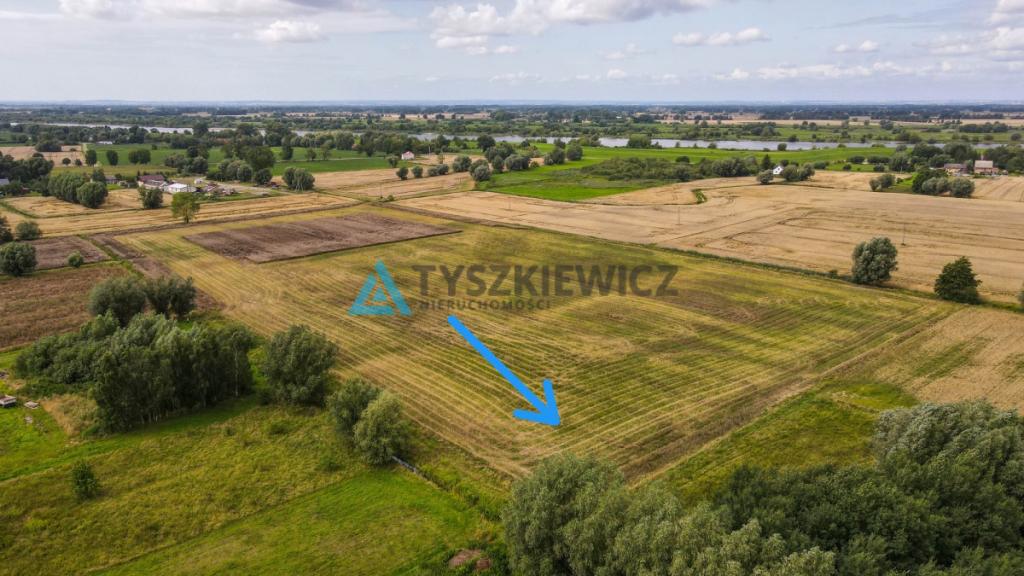 Duża działka z WZ blisko Ostaszewa - Piaskowiec - zdjęcie 4