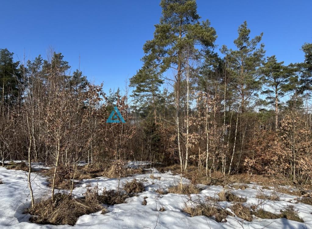 Działka inwestycyjna 3,5 ha z widokiem na jezioro - zdjęcie 26