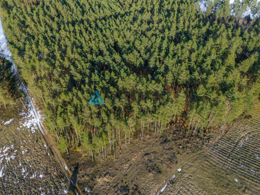 Działka inwestycyjna 3,5 ha z widokiem na jezioro - zdjęcie 23