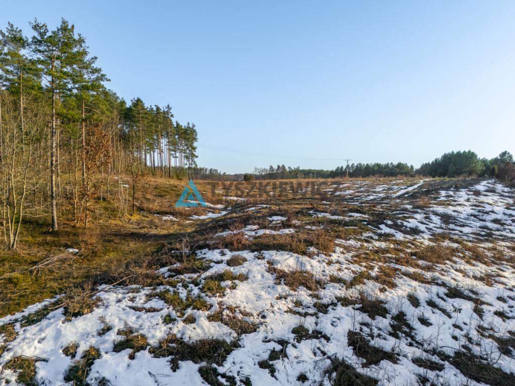 Działka inwestycyjna 3,5 ha z widokiem na jezioro - zdjęcie 27
